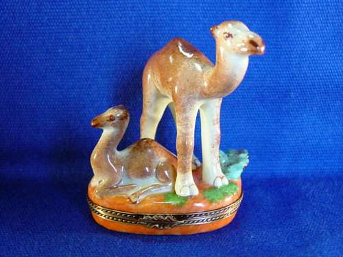 CAMEL W/BABY